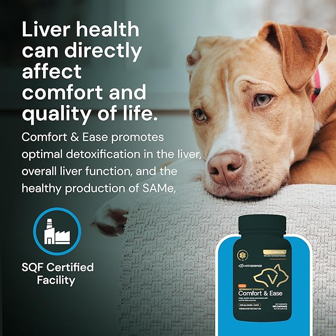 VETRISCIENCE Veterinary Strength Comfort & Ease Capsules - Mobility Supplement for Pets - Supports Aches from Normal Exercise - Joint Care for Dogs & Cats - 180 Count