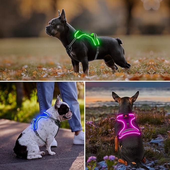 Rechargeable LED Dog Harness - No Pull, 4 Point Adjustable, Small/Medium/Large/X-Large Sizes