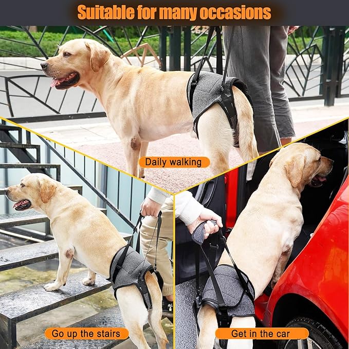 Dog Sling for Large Dogs Hind Leg Support Dog Lift Harness Adjustable Durable Help em up Harness for Weak Back Legs, Elderly, Injured, Senior, Arthritic, ACL Recovery Pet