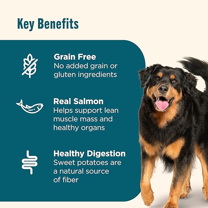 Nutrish Grain Free Salmon & Sweet Potato Recipe Dry Dog Food, 11.5 lb. Bag, Packaging May Vary (Rachael Ray)