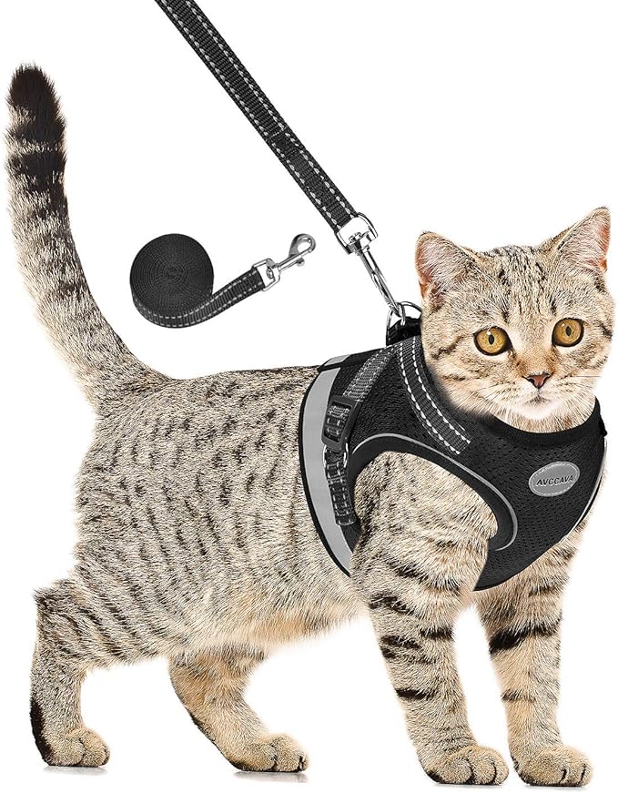 Cat Harness and Leash for Walking, Kitten Escape Proof Harnesses, Adjustable Reflective Puppy Harness with Leashes Set, Easy Adjustable Soft net Breathable Pet Safety Vest M (Chest: 12" - 14") Black
