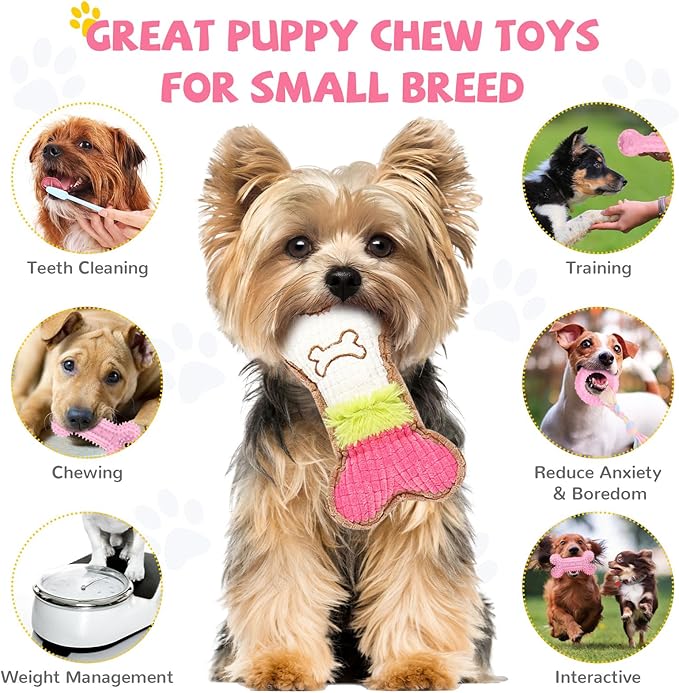 BAEJMJK 6 Pack Puppy Teething Toys Pink Small Breed Dog Chew Toys with Rope Cute Soft Rubber Puppy Toys Set for Cleaning Teeth Interactive Pet Doggy Bone Toys