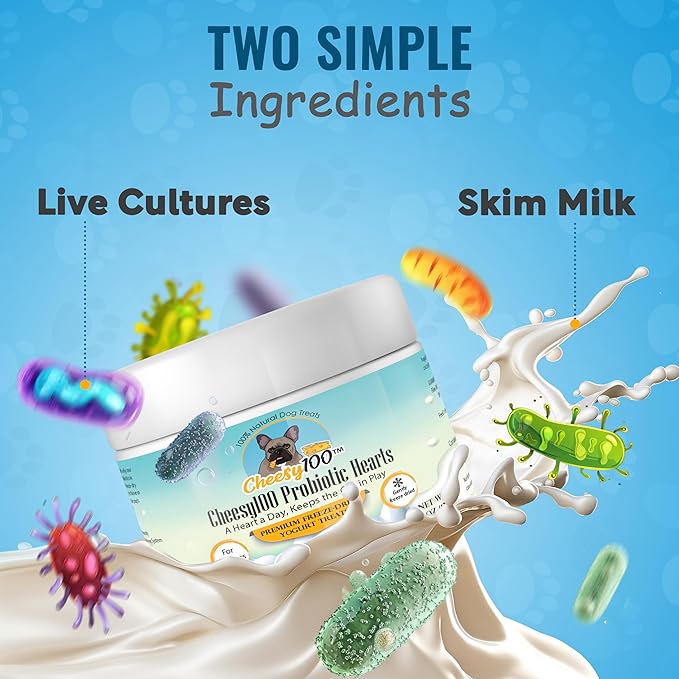 – Crunchy Probiotic Dog Treats with 4 Billion Cultures – Freeze-Dried Yogurt Hearts for Gut Health