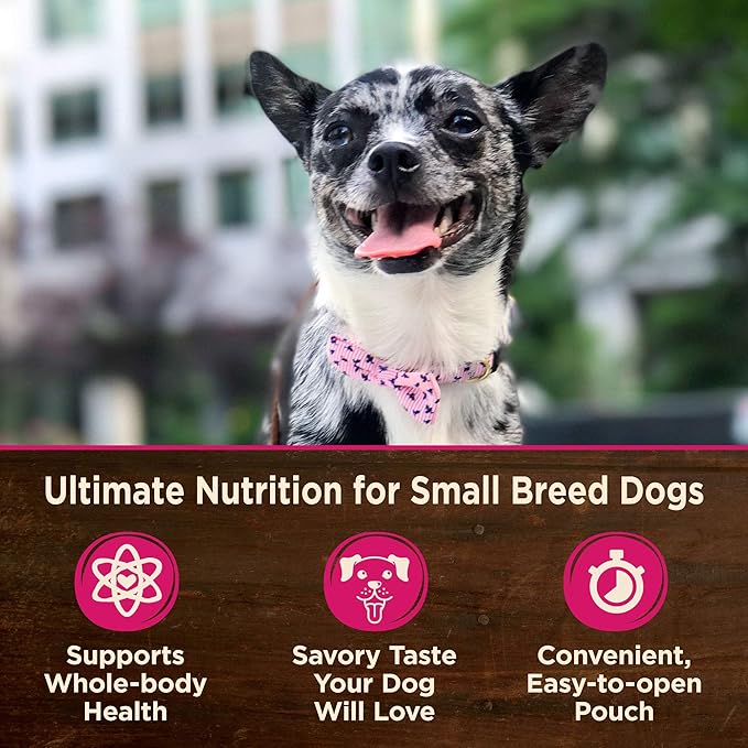 Wellness CORE Natural Grain Free Small Breed Mini Meals Wet Dog Food, Shredded Chicken & Turkey Dinner in Gravy, 3-Ounce Pouch (Pack of 12)