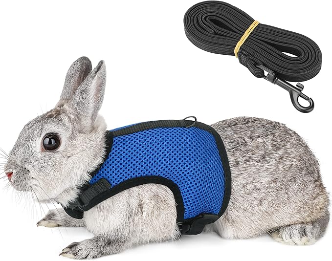 PETTOM Bunny Rabbit Harness with Stretchy Leash Cute Adjustable Buckle Breathable Mesh Vest for Kitten Small Pets Walking (Blue,XS)