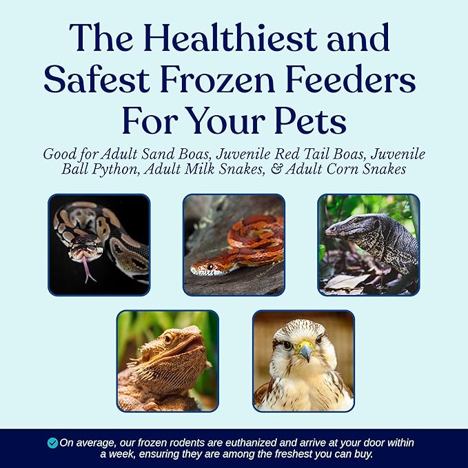 Frozen Large Adult Feeder Mice Food for Adult Ball Pythons Juvenile Red Tale Boa Monitors Lizards (20 Count)