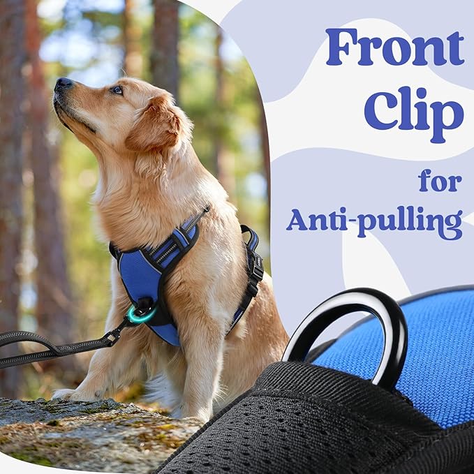 rabbitgoo Dog Harness Medium Sized, No Pull Pet Harness with 3 Buckles, Adjustable Soft Padded Vest with Control Handle, Walking Reflective Pet Vest for Medium Dogs, Blue, M