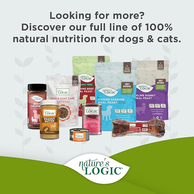 NATURE'S LOGIC Dry Dog Food - 100% Natural - No Synthetics - for All Ages, Sizes, Breeds - Free from Common Allergens, High Protein - Pork Meal Feast, 4.4lbs