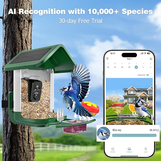 Bird Feeder with Camera Solar Powered : Smart Bird Camera Feeder 2K Live Feed for Backyard - AI Identify Auto Capture Videos, Gifts for Birdlovers Mom Dad, 2.4GHz WiFi
