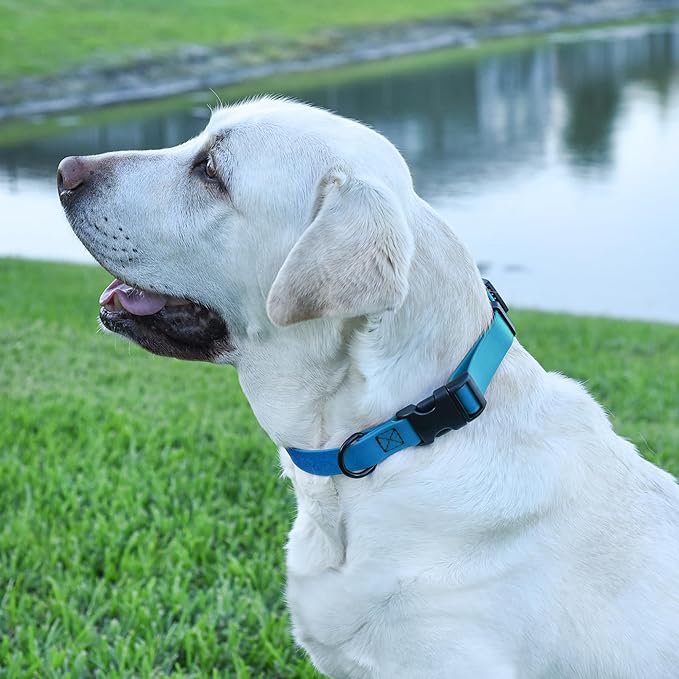 Dogline Biothane Waterproof Dog Collar with Quick Release Buckle Strong Coated Nylon Webbing with Odor- Proof for Easy Care Easy to Clean Fits Small Medium or Large Dogs, Dogline Blue 1" W 15-23" L