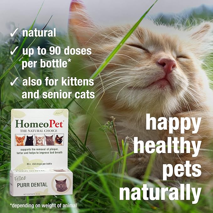 HomeoPet Feline Purr Dental, Safe and Natural Tooth and Dental Care for Cats, Cat Dental Care, 15 Milliliters