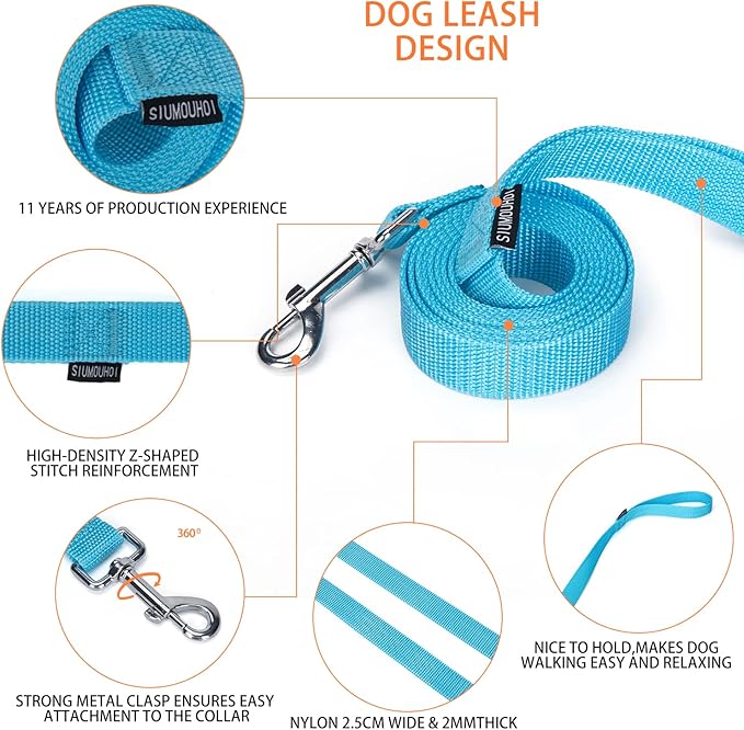 Strong Durable Nylon Dog Training Leash, 1 Inch Wide Traction Rope, 6 ft Long, for Small and Medium Dog (Mint Blue, 6 Feet)