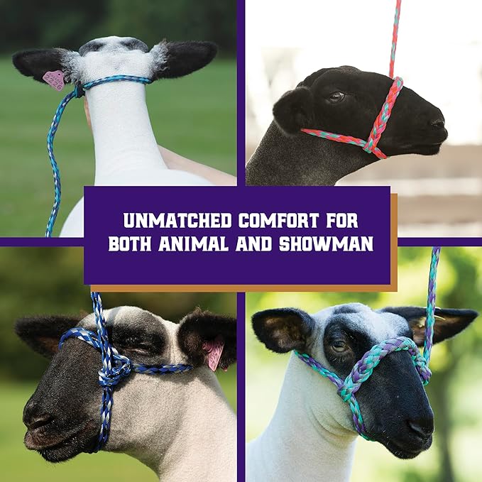 Weaver Livestock Poly Rope Sheep Halter, Modern Style Braid Sheep and Goat Rope Halter, Adjustable Lamb Halter Lead, Livestock Sheep Showing Supplies