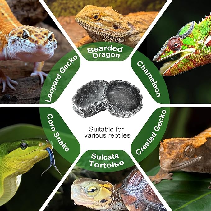 TRUVIC 2 Pack Reptile Feeding Dish Set, Reptile Water Dish Food Bowls for Bearded Dragon Tank Accessories, Resin Terrarium Bowls for Leopard Gecko, Lizard, Chameleon, Hermit Crab, Tortoise, Frog