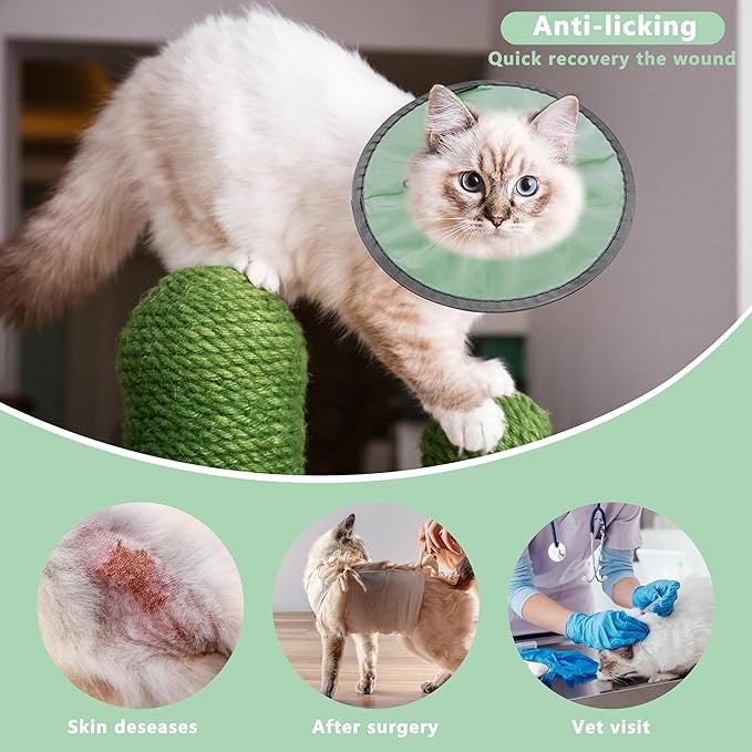 Lightweight Cat Cone Collar Soft, Soft Comfortable Cat Recovery Collar After Surgery, Elizabethan E Collar for Cats, Cone for Cats to Stop Licking (Mint Green, Large)