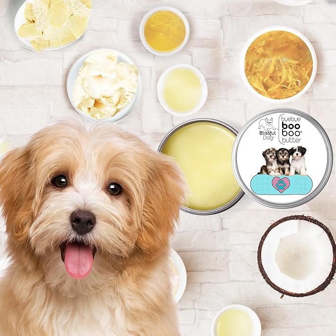 The Blissful Dog Havanese Boo Boo Butter, 1-Ounce