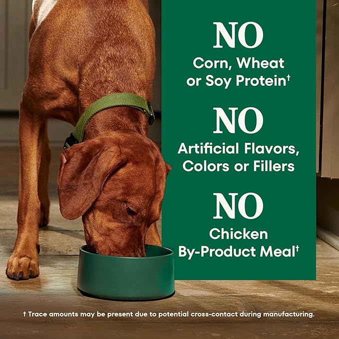 Nutro Natural Choice Adult Dry Dog Food, Lamb and Brown Rice Recipe, 12 lbs.