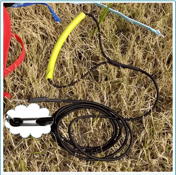 Pet Parrot Bird Harness Leash Adjustable Bird Flying Harness Traction Rope with Cute Wing for Parrots Pigeons Budgerigar Lovebird Cockatiel Mynah Outdoor Training Toy (M, Blue)