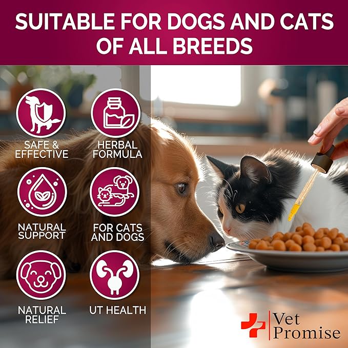 Cat & Dog UTI Treatment - Urinary Tract Infection Treatments with Cranberry - Dog & Cat UTI Medicine - Advanced Kidney & Bladder Support Multivitamin - Renal Health Supplement Vitamins - Made in USA