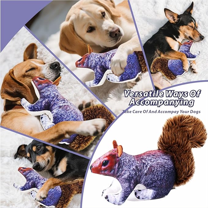Dog Toy Squirrel, Squeaky with Soft Fabric for Small, Medium, and Large Dogs Daily Companionship, Training Reward Gift