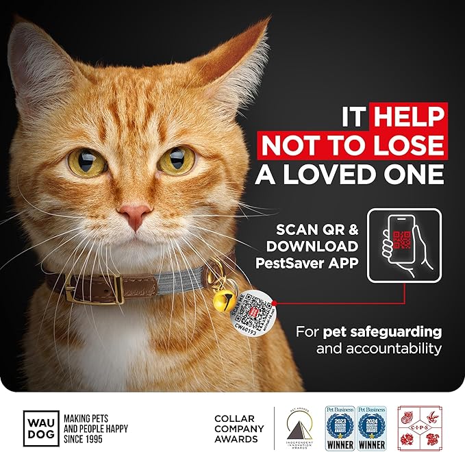 WAUDOG Ultra Soft Rolled Leather Cat Collar with Removable Bell, Safety Elastic Strap and QR ID Tag - Soft Padded for Small, Medium, and Large Cats - Round Kitten Collar for Male and Female Cats