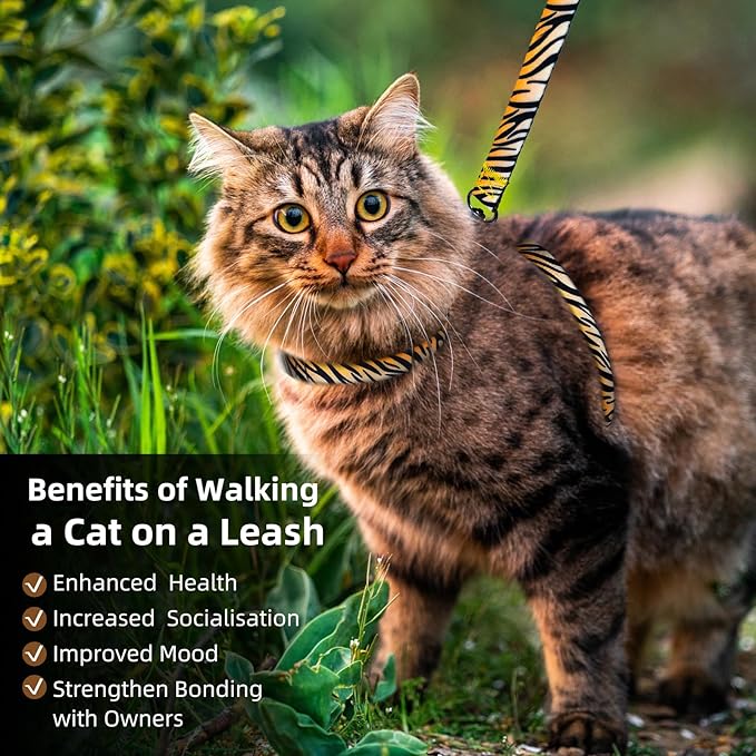 Cat Harness and Leash Escape Proof (XS)