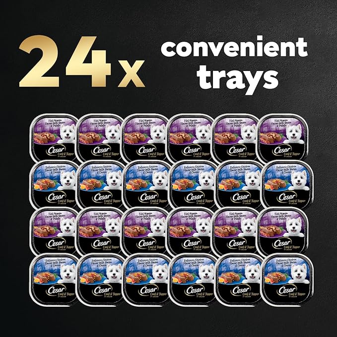 Cesar Wet Dog Food Loaf in Sauce Rotisserie Chicken Flavor with Bacon & Cheese and Filet Mignon Flavor with Bacon & Potato Variety Pack, 3.5 oz. Easy Peel Trays (12 Count, Pack of 2)