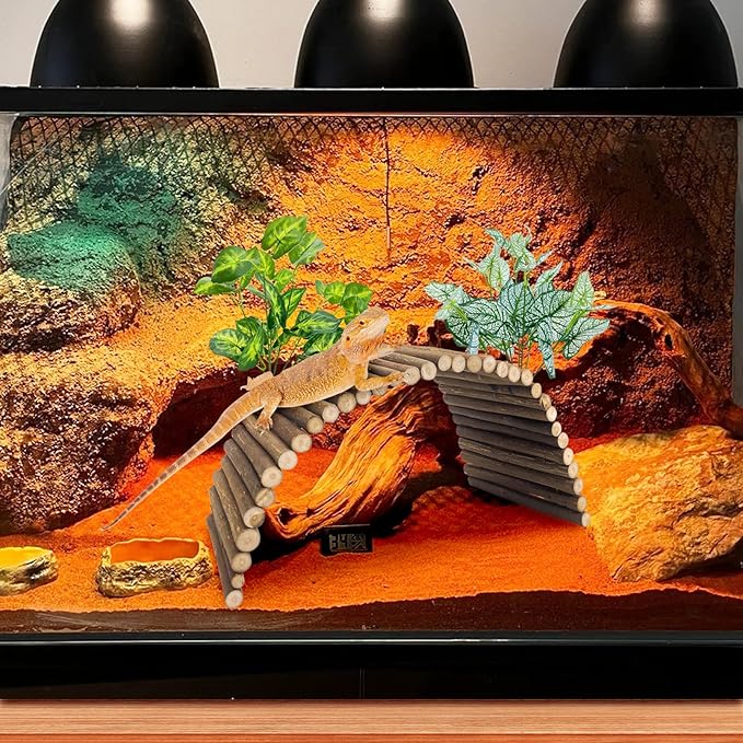 BNOSDM Large Reptile Hide Tortoise Hideout Bearded Dragon Wooden Bridge Snake Climbing Tunnel Habitat Decor for Lizards Spiders Gecko Ball Python