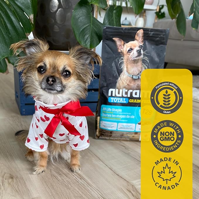 T28 Grain-Free Dog Food for Small & Toy Breeds – High Protein Trout & Salmon Meal Kibble | Chicken-Free, Limited Ingredient, Fish Dry Dog Food for Small Dogs & Puppies (4.4 Pounds)