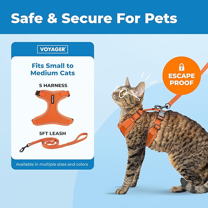 Voyager Escape Proof Cat Harness and Leash Set with Reflective Stitching, Neoprene Handle 5ft - Supports Small, Medium and Large Cats, Kittens for Walking by Best Pet Supplies - Orange, S