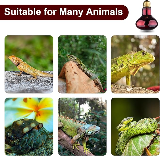 Reptile Heat Lamp Bulb, 100W Infrared Heat Light Bulbs, Red Basking Spot Lightbulb for Snake, Tortoise, Bearded Dragon, Lizard, Chicks, Turtle, Chickens, Pets - 2 Pack
