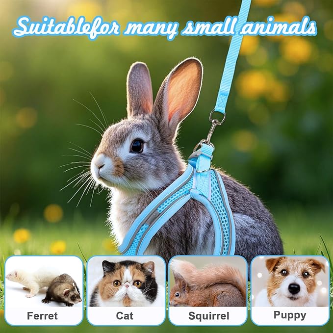 2 Pack Rabbit Harness and Leash Set, Double Buckle Bunnies Harness with Reflective Strips Soft Breathable Mesh Vest Harness for Rabbits Walks Accessories(Blue and Black)