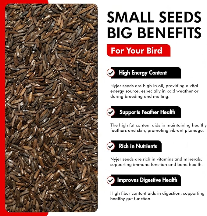 Morning Bird Nyjer Seed for Birds 1.5 lbs – Energizing Nutrition with Rich in Vitamins and Supplements – Ideal Bird Food for Breeding & Molting – Nyjer & Finch Seed for All Birds