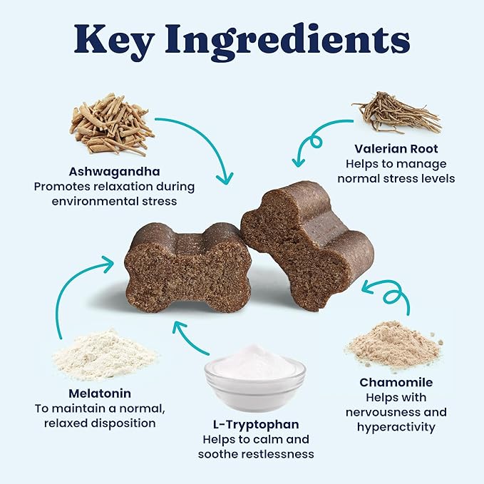 Solid Gold Calming Chews for Dogs - Dog Calming Chews w/Melatonin for Separation, Stress & Hyperactivity Relief - Supports Relaxation for Travel, Fireworks & Storms - All Ages & Sizes - Bacon 120ct