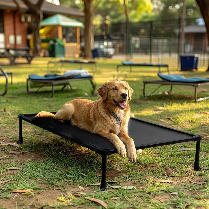 Veehoo Chew-Proof Elevated Dog Bed, Durable Training Platform for Large Dogs, Indoor/Outdoor Raised Pet Cot, Black, 41x27inches, Model CWC2420CP