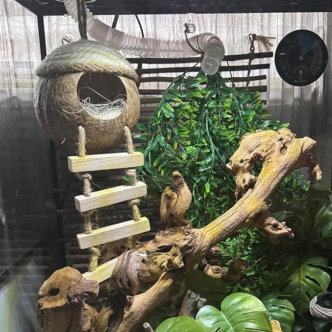 Leopard Gecko Coconut Hut with Ladder,Grested Gecko Coco Den Lizards Hanging Coconut Shell Hideout Cave Reptiles Tank Accessories Climbing Hanging Plants Jungle Vine Flexible Leaves Decor