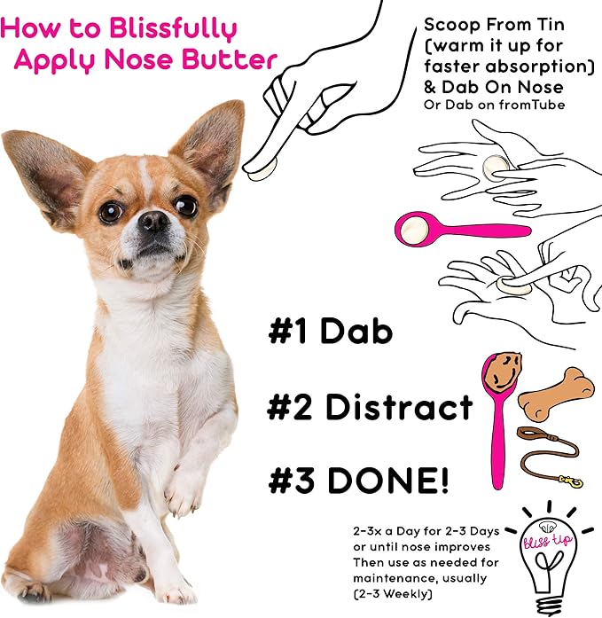 The Blissful Dog Smooth Coat Chihuahua Nose Butter for Dry, Cracked Skin, Lick-Safe Dog Nose Balm with Moisturizing Shea Butter, Almond, Olive, and Essential Oils, Pet Supplies, Uncented, 0.15 oz.