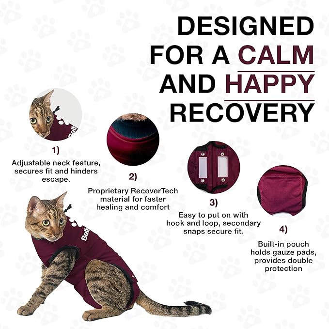 Bellyguard Cat Recovery Suit Female and Male, Comfy Onesie After Surgery, Kitten Clothes for Post-Op Care, Neuter and Spay Healing Outfits for Cats Only – Comfortable Kitten and Adult Cone Alternative