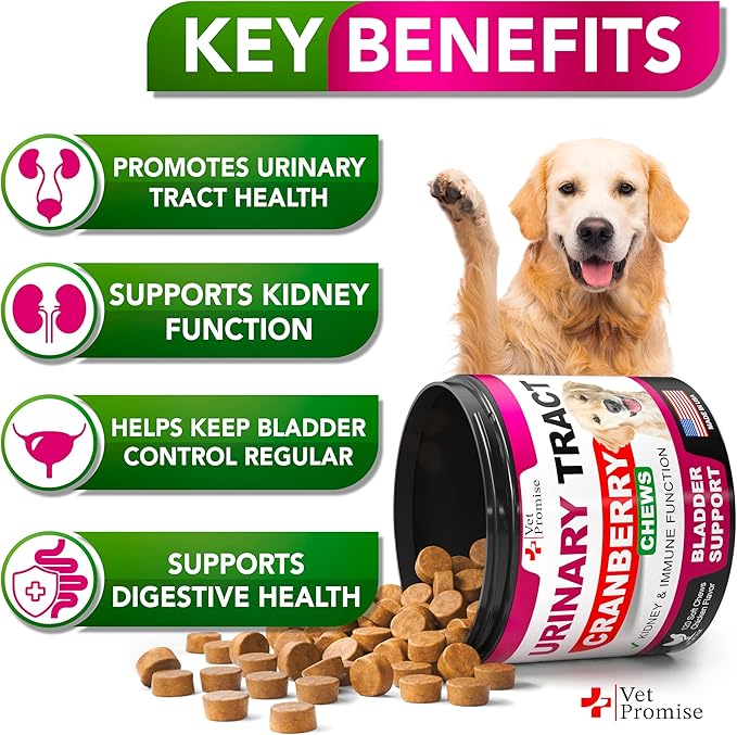 Dog UTI Treatment - Cranberry Supplement for Dogs UTI - Bladder Control - Urinary Tract Infection Treatment Medicine - Cranberry Supplement Vitamins Multivitamin Chews - Made in USA