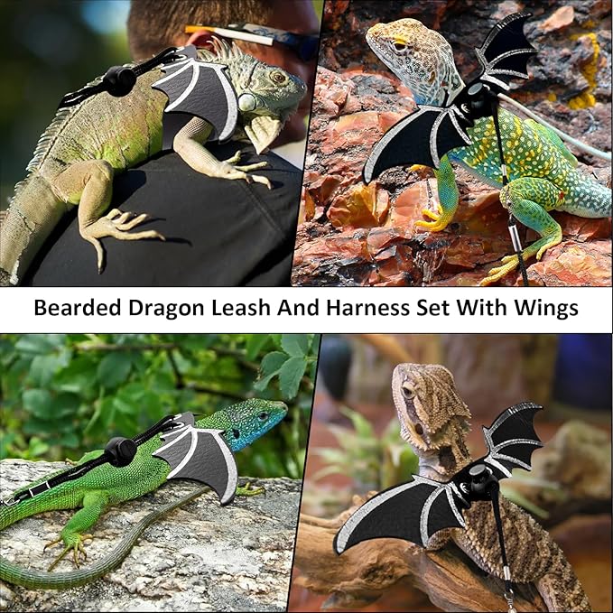 Bearded Dragon Leash and Harness Set, Bearded Dragon Accessories(Include Chest Pack, Lizard Leash), Bearded Dragon Decor Suit for Outdoor Travel-Black