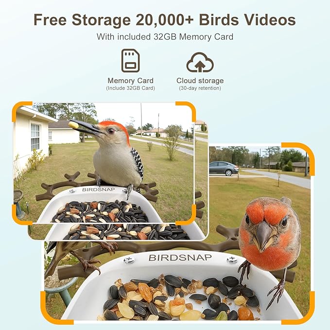 birdsnap® P33 - Bird Feeder with Camera Solar Powered, 2K Video Bird Camera Feeder Live with 32GB Card, AI Identify Feather Species, Auto Record in Backyard, for Birds Lover