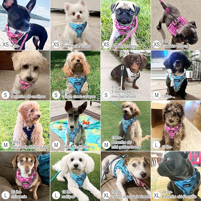 haapaw Dog Harness with Leash Set, No Pull Adjustable Reflective Step-in Puppy Harness with Thickened Padded Vest for Extra-Small/Small Medium Dogs