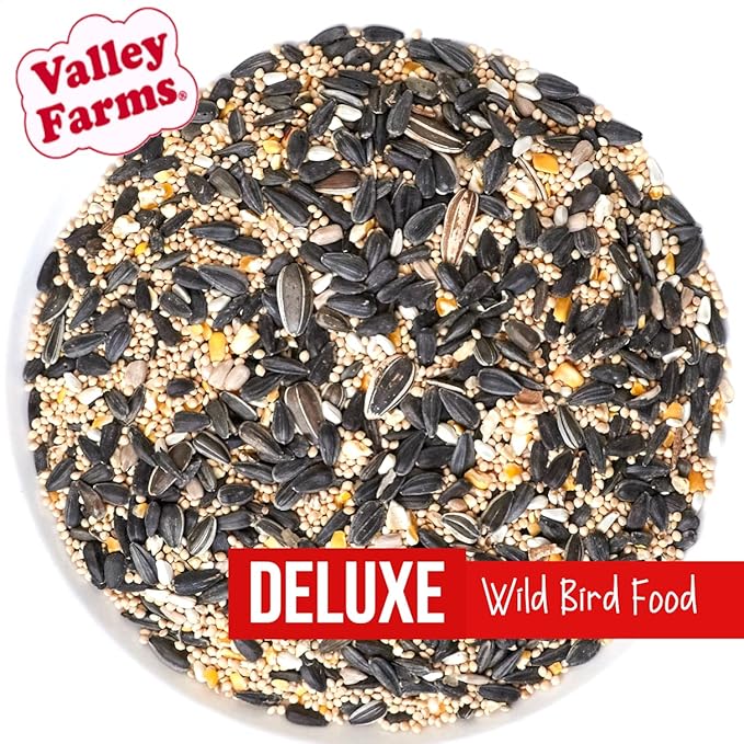 Valley Farms Bird Lover Bundles- Premium Wild Bird Food Gift Packs (4 Pack)