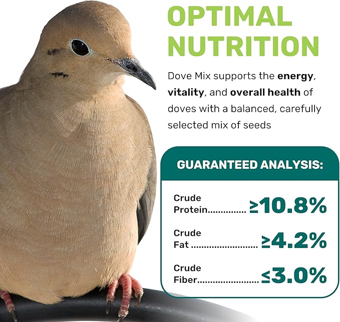 Dove Mix 5 Lbs, Dove Food, Premium Dove Bird Seed, Nut Free Mix Feed for Dove, Nutrient-Rich Mixed Birdseeds, Supports Daily Energy Growth & Healthy Balanced Diet, Bird Seed for Outside Feeders