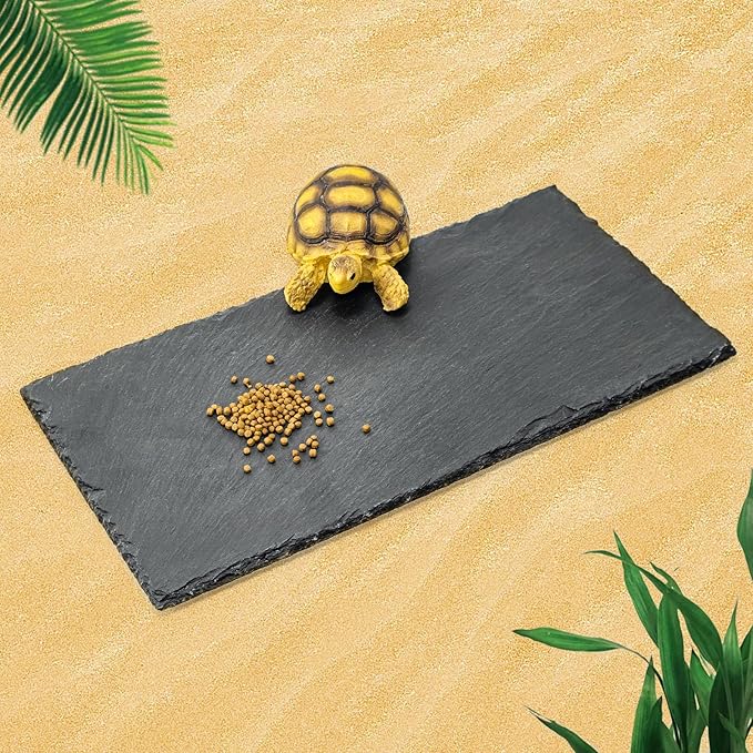 Tortoise Habitat basking Rock Feeding Dish Bowl Bearded Dragon/Lizard Original Rock Slab,Easy to Grind The Nails,with Non-Slip mats,Natural Food Bowl,Moisturizing Effect(Medium- Size)