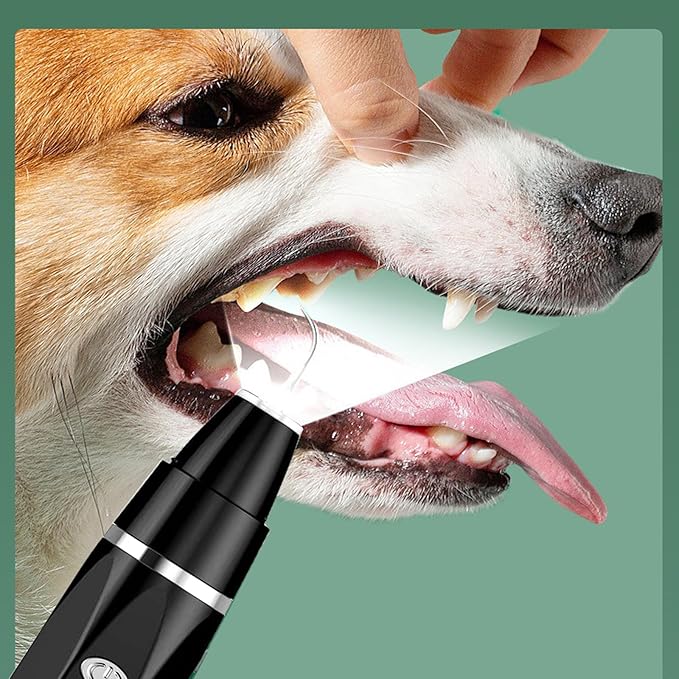 Dog Plaque Tartar Remover Pet Ultrasonic Cleaner Cat Tooth Cleaning for Cat Dog Dental Care