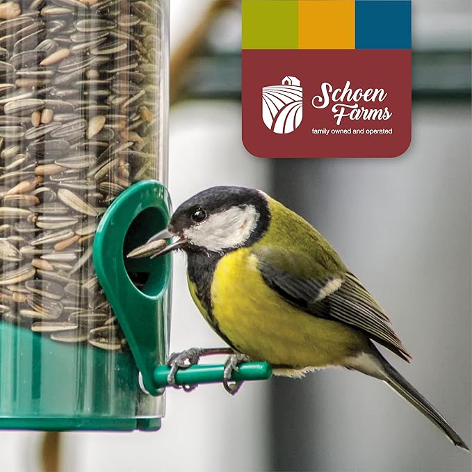 Gourmet Wild Bird Food Mix (10 LBS) Blend for Cardinals, Chickadees, Nuthatches, Woodpeckers and Songbirds