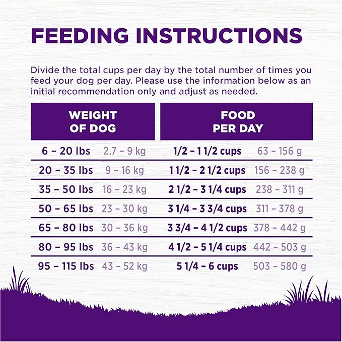 Wellness Complete Health Dry Dog Food, Wholesome Grains, Natural, Beef & Barley Recipe, (26-Pound Bag)