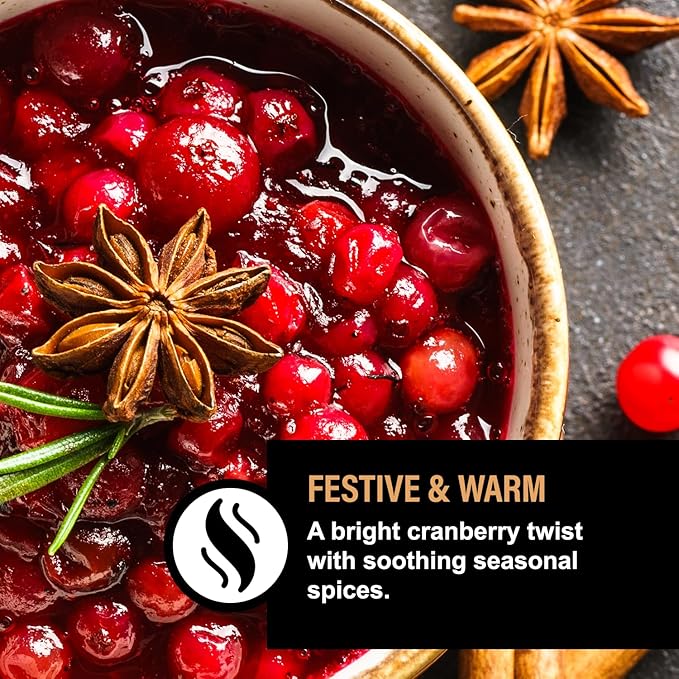 Dog Bubble Bath Shampoo Alternative – Cranberry Spice with Oatmeal, Honey & Coconut, Natural Pet Spa Soak, Gentle Puppy Wash, Dog Gift - 12 Baths (Cranberry Spice)