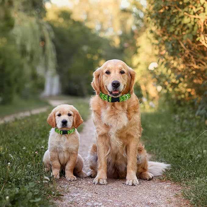 Shamrock Gold Coin St Patrick's Day Dog Collar Soft Pet Collars for Small Medium Large Breed Dogs Cats Puppy Kitten Terrier